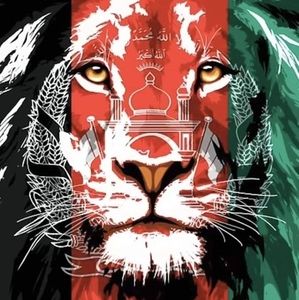 Meet your Posher, Jawed